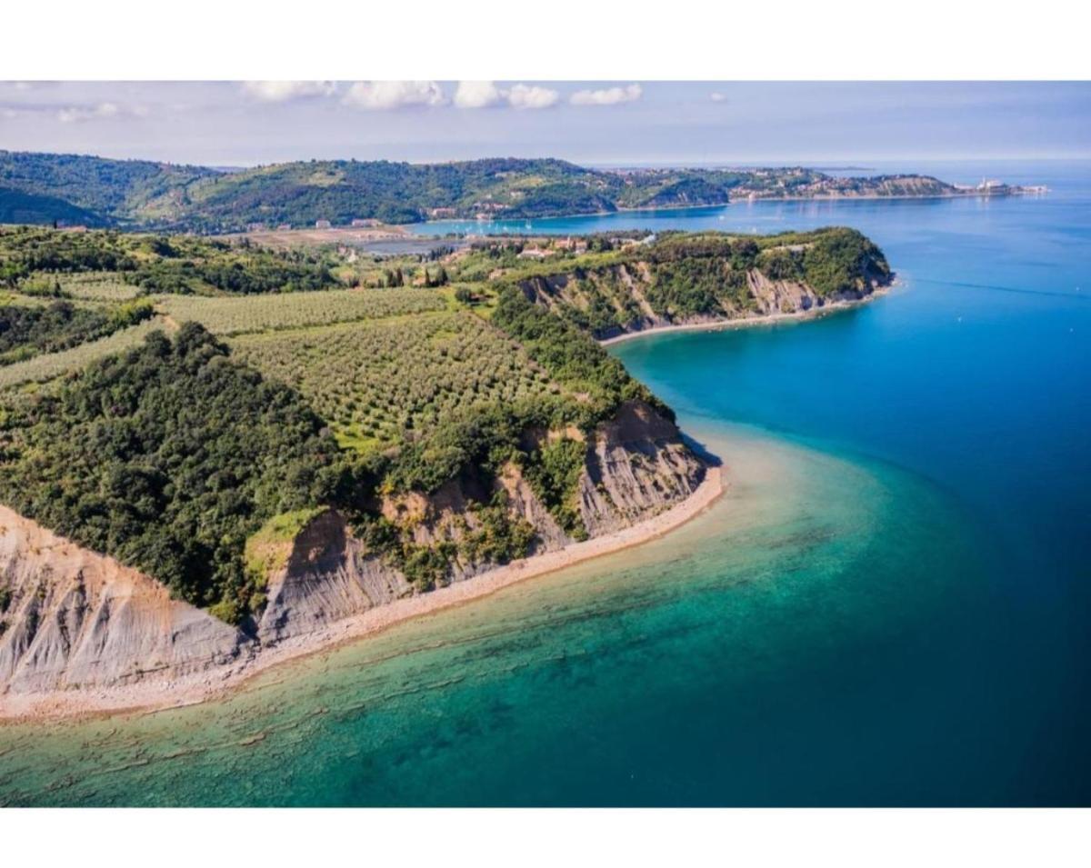 Apartma Rea Izola, Pergola & Terassa, Parking Esterno foto
